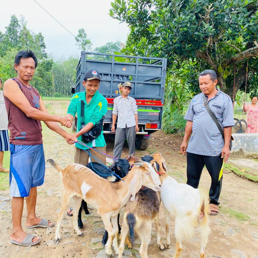 Album : Pembagian Bantuan Kambing Ternak